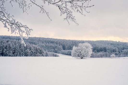 winter season