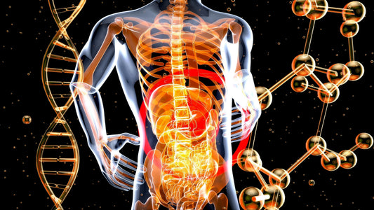 Is Honey Good for Gut Health? Here’s What We Know