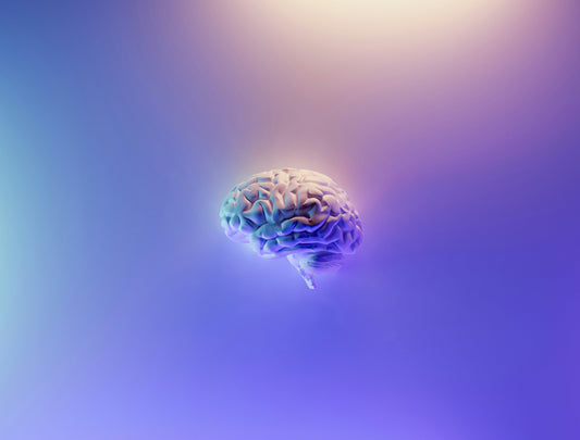 Brain with neon background